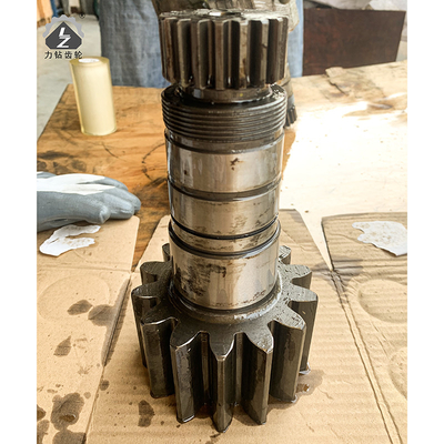 EX55 van het de Schacht het Roterende Toestel van de schommelingspignon Graafwerktuig Spare Parts